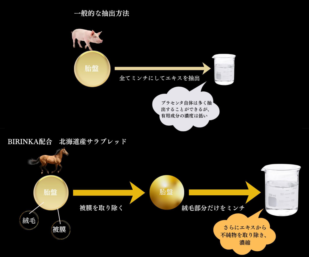 一般的な抽出方法とBIRINKA配合の馬プラセンタの抽出方法